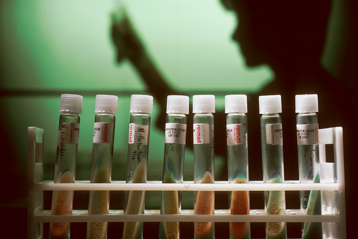 a row of test tubes filled with different colored liquids